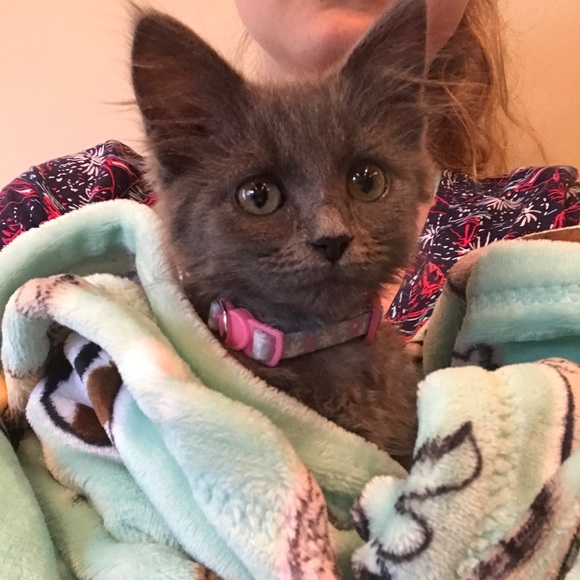 Meet your Posher, Sarah - Picture 12 of 13